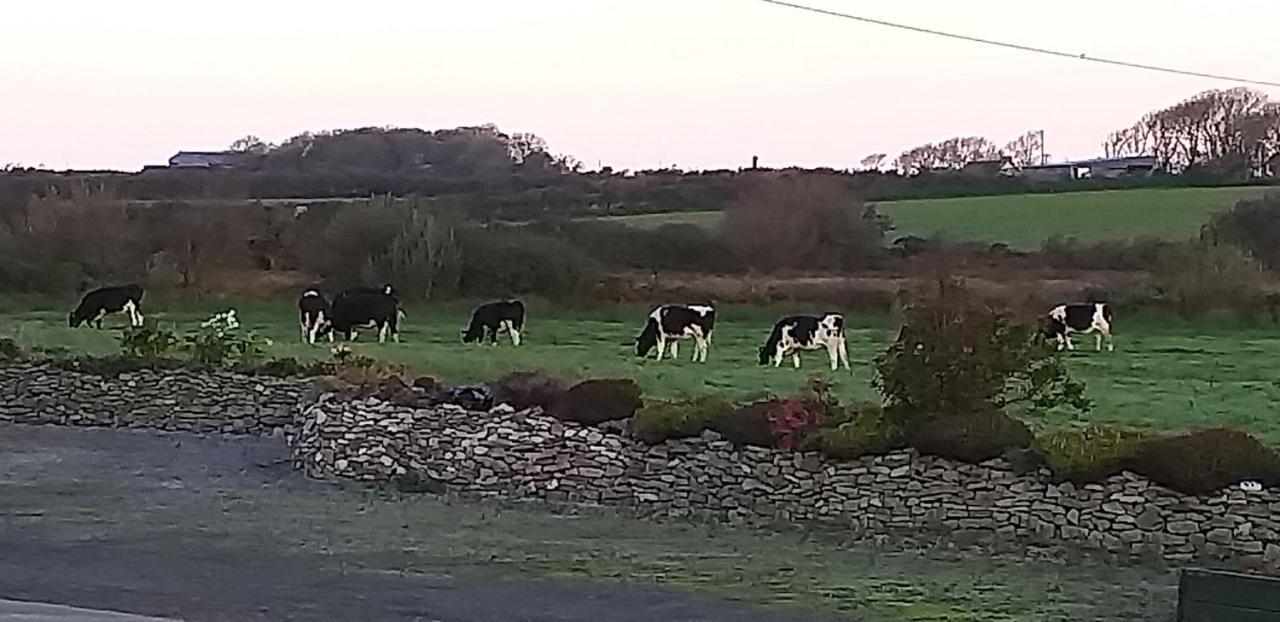 Murphys Irish Farmhouse Тралий Екстериор снимка